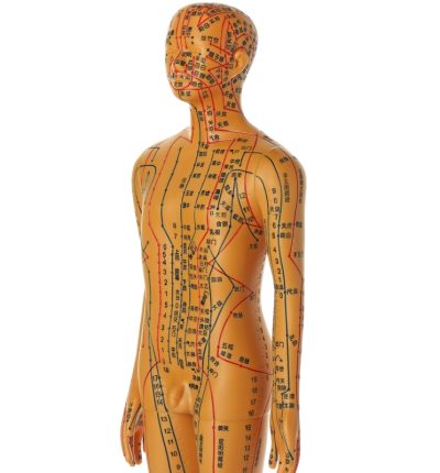 Acupuncture,Model.,Male,Mannequin,With,Dots,And,Lines,Isolated,On